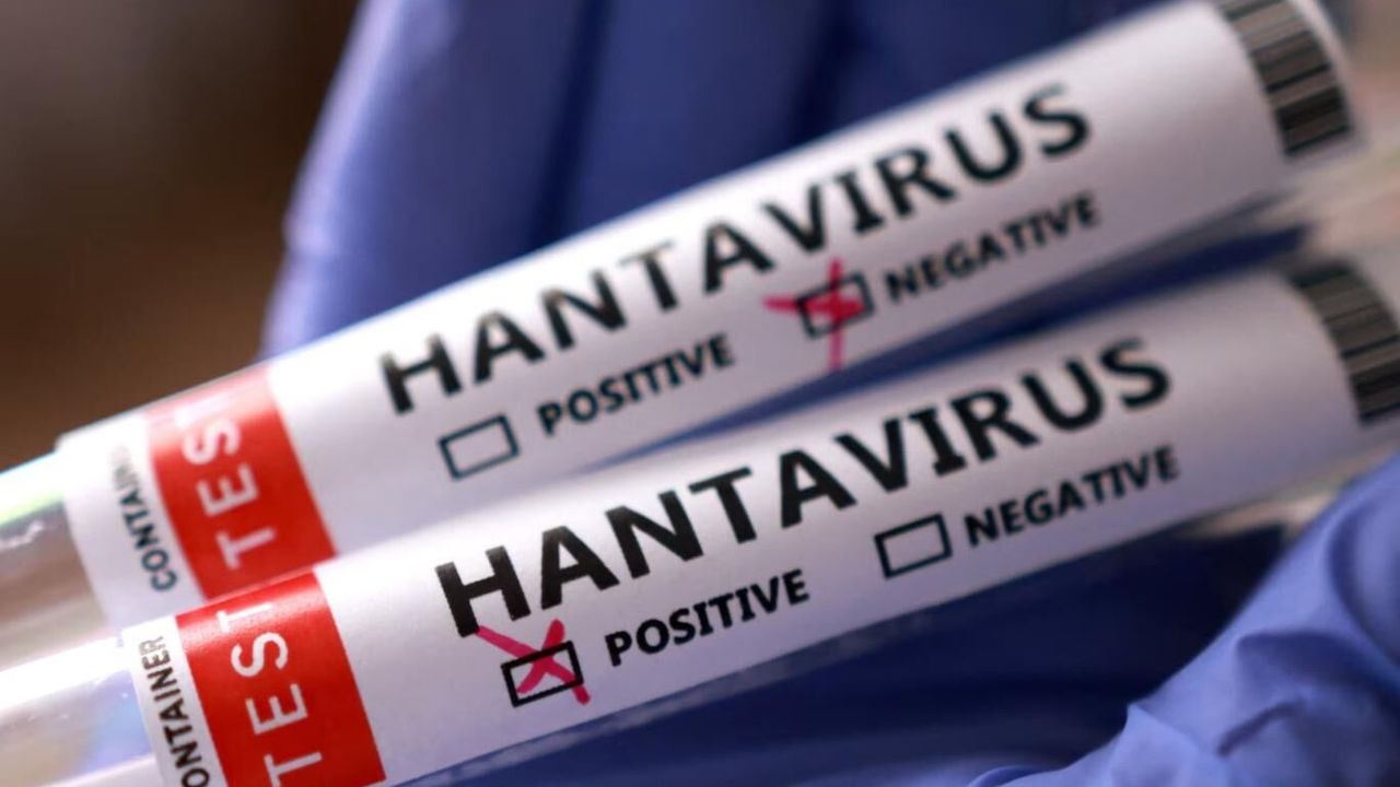 İngiliz ordusundan 'acil' kodlu Hantavirüs operasyonu