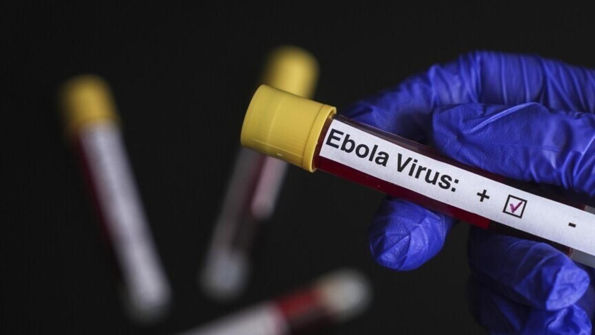 Nijerya'da Ebola Tehdidi: 10 Eyalet Alarm Durumuna Geçti