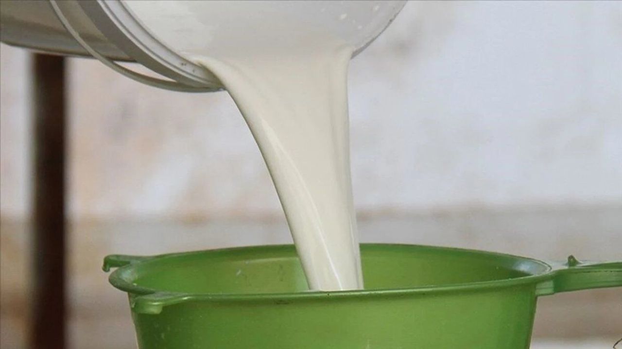 Çiğ Süt Üretim Maliyeti Düşüşte: Litre Başına 27,31 TL Oldu