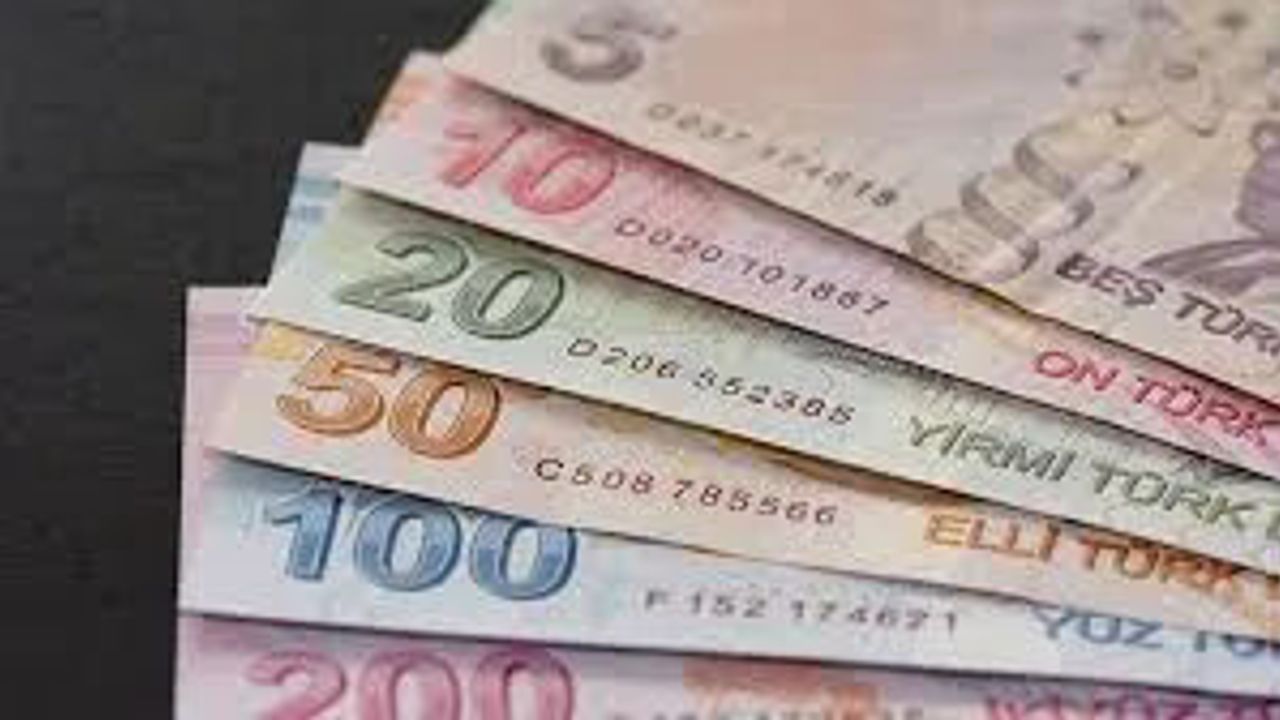 Reel Efektif Döviz Kuru Endeksi Mayısta 0,44 Puan Düşerek 105,55'e İndi