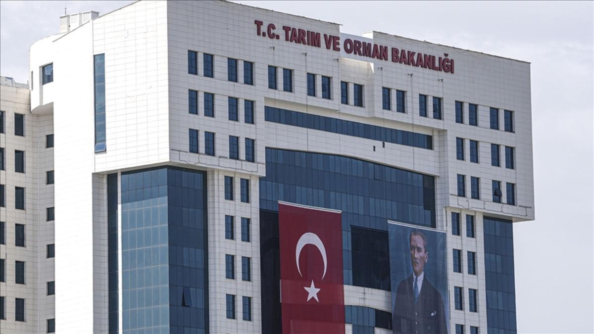 Gökçeada, Şap Hastalığından Aşılı Ari Bölge Statüsüne Kavuştu