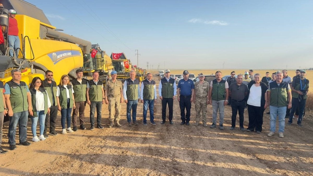 Buğday Hasadı Başladı: Ceylanpınar Tarım İşletmesi'nde 56 Bin 400 Hektar Alan Kapsanıyor