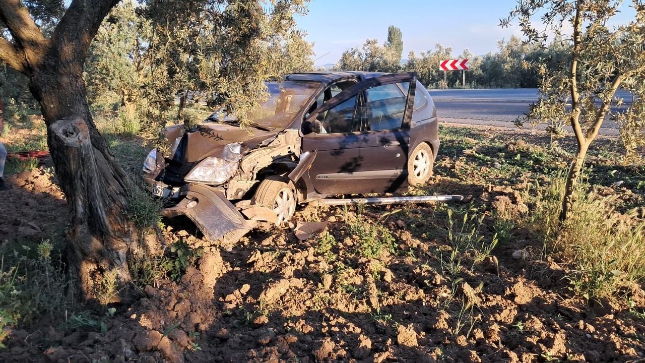 Otomobil Zeytin Ağacına Çarptı: Araç Kullanılamaz Hale Geldi