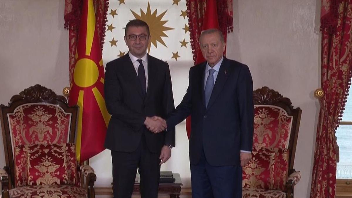 Cumhurbaşkanı Erdoğan, Kuzey Makedonya Başbakanı Mickoski'yi Kabul Etti