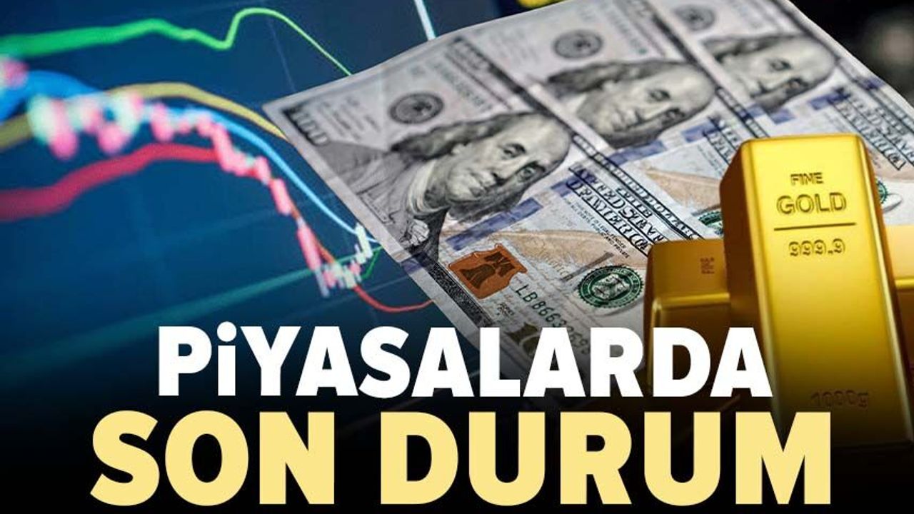Döviz Kurlarında Son Durum: Dolar 46,30 TL, Euro 53,68 TL