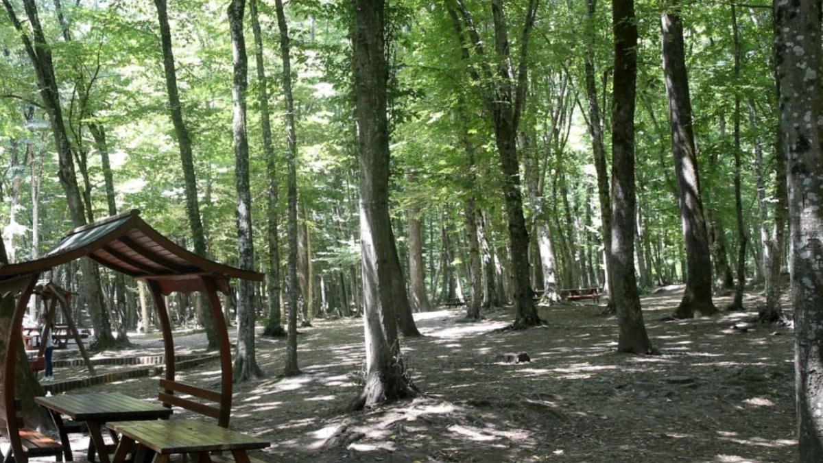 Edirne'de Ormanlık Alanlara Giriş 15 Ekim'e Kadar Yasaklandı