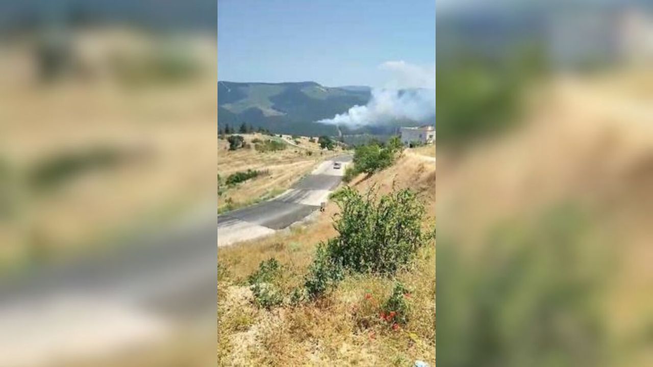 Bursa'da orman yangını