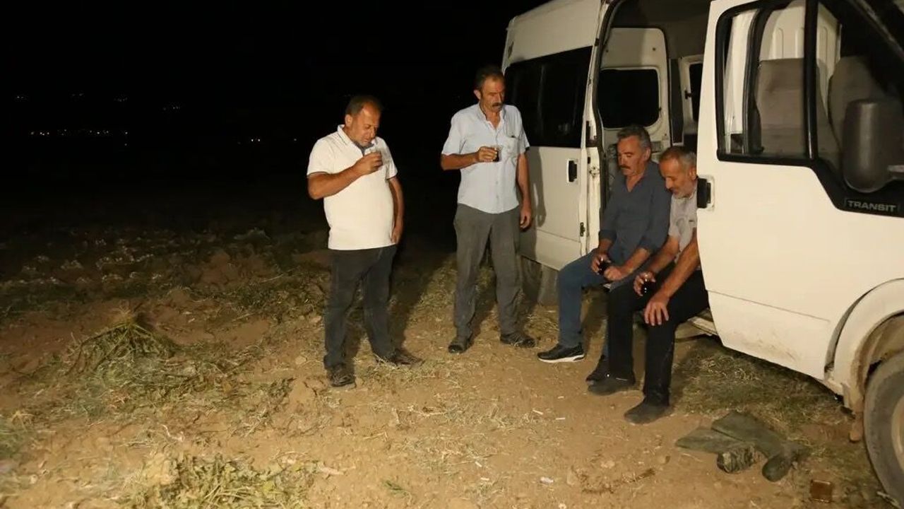 'Beyaz altın' için sabaha kadar nöbet tutuyorlar