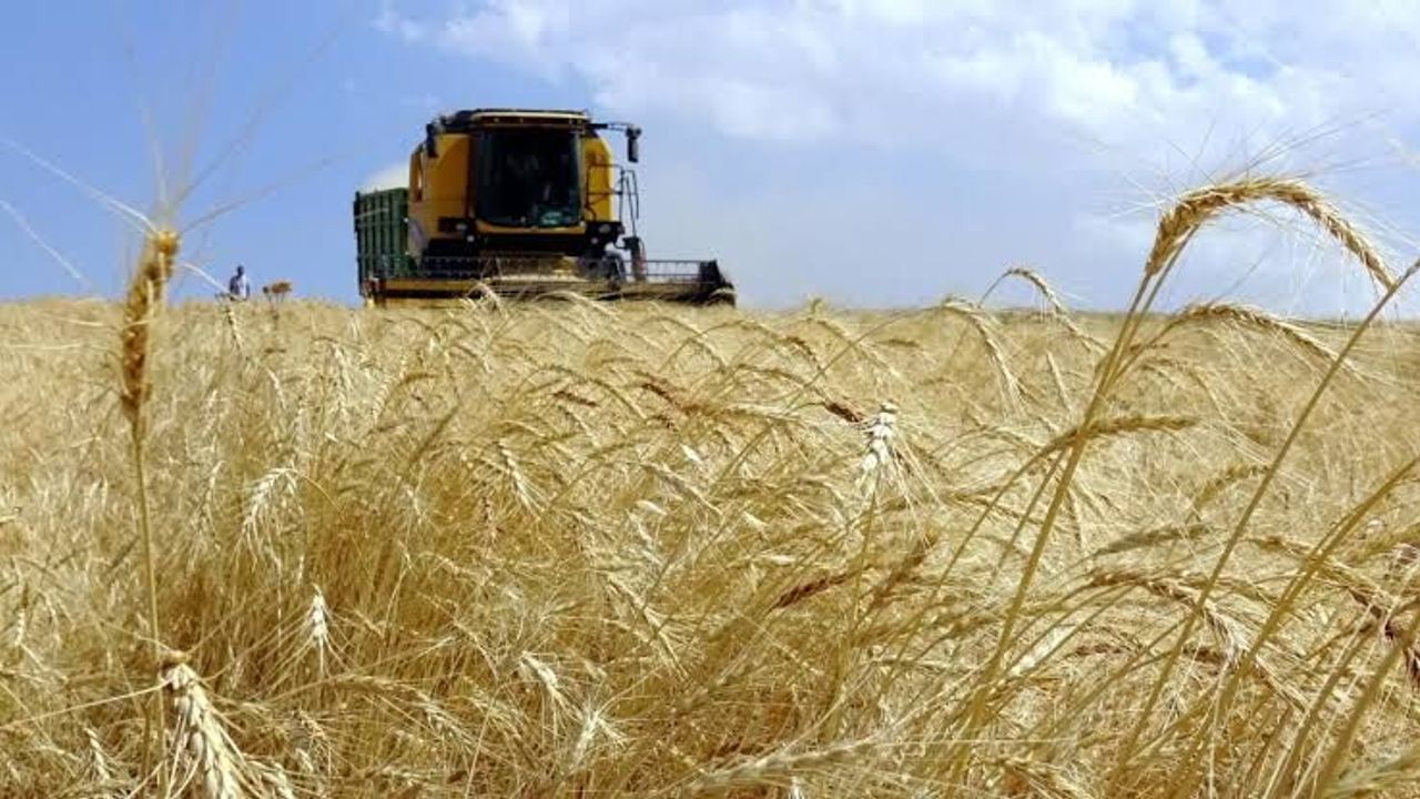 TÜİK açıkladı: Çiftçinin haziran enflasyonu belli oldu