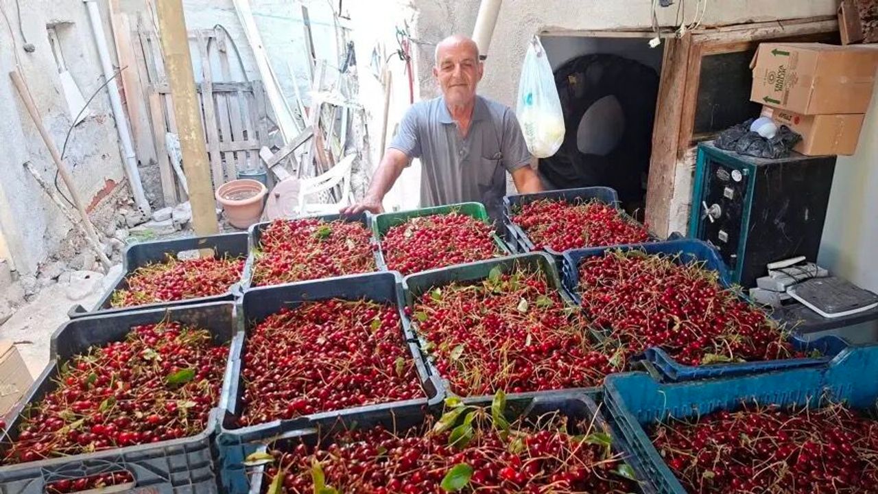 Fiyatı işçi yevmiyesini bile karşılamıyor