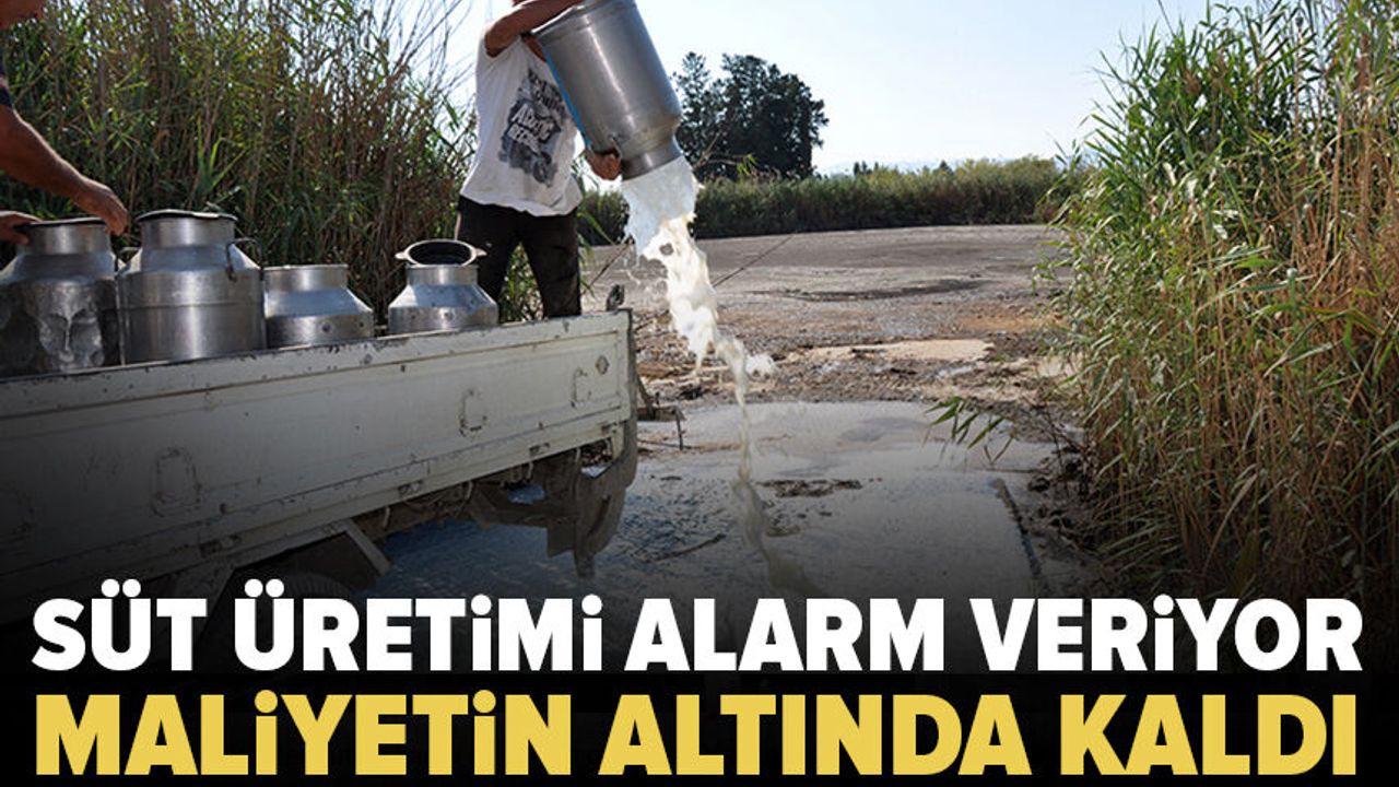 Çiğ süt fiyatı maliyetin altında kaldı: Küçük üretici alarm veriyor