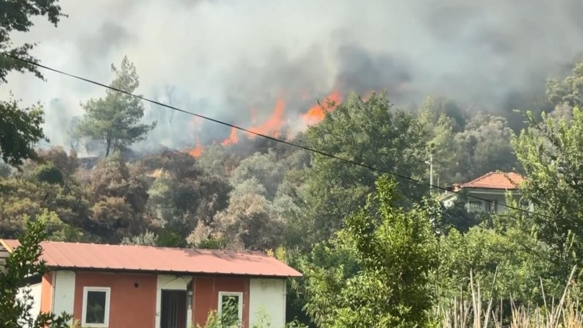 Muğla'da orman yangını: Alevler evlere ulaştı